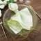 OLIVE GREEN 10 Sheer 23" x 23" Organza Decorative Table Dinner NAPKINS